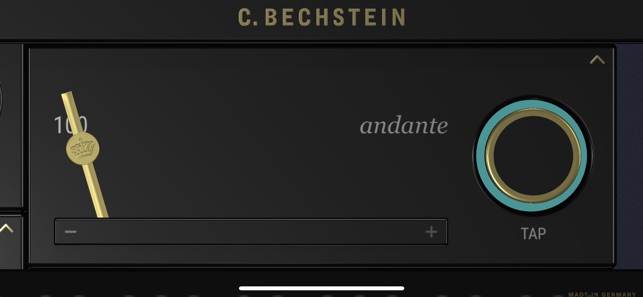 C. BECHSTEIN VARIO(圖7)-速報App