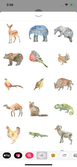 Watercolor Animals and Florals(圖2)-速報App