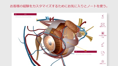 解剖学的構造と生理学 screenshot1