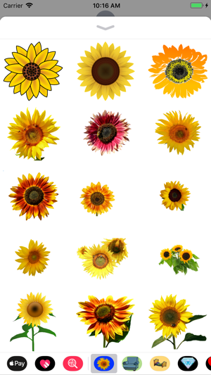 Sunflower Stickers(圖1)-速報App