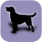 This is a family tree of dogs for dog lovers