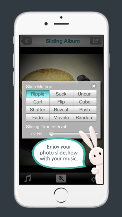 Photo Wheel Lite screenshot-4