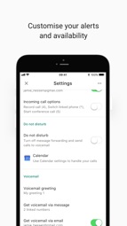 Google Voice Captura de tela 5