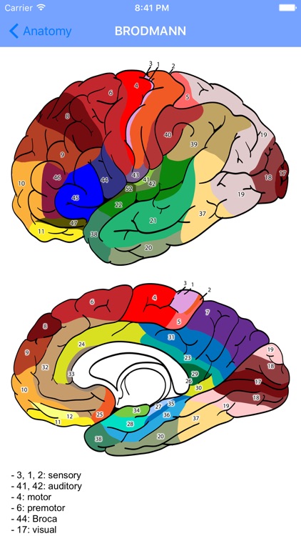 Oracle of Neurology and Neurosurgery screenshot-3