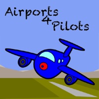 Airports 4 Pilots Pro - Global PC 용