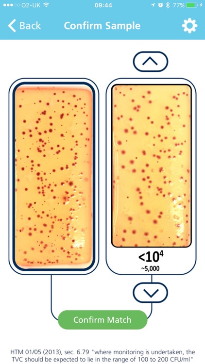 Dental Dipslides