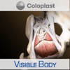 Pelvic Anatomy for Coloplast pelvic exam 