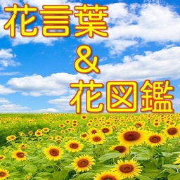 こども図鑑 By Tomohiro Yasukura
