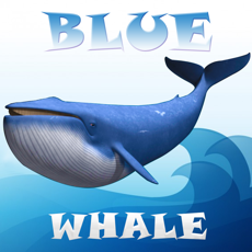 Activities of Blue Whale Simulator Mind Game