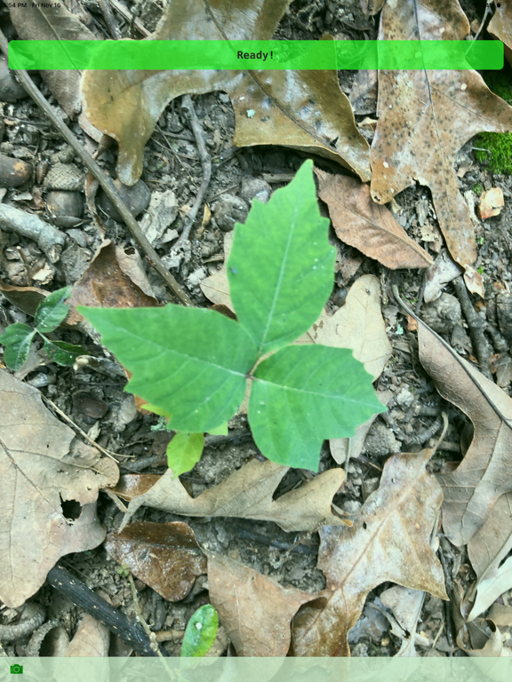 Screenshot #4 pour Itchy Plant