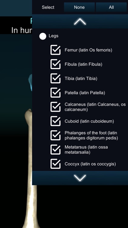 Bones 3D (Anatomy) screenshot-4