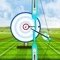 One of the most competitive archery shooting games