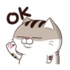 Yumi Cat Animated Stickers