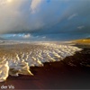 Texelopdefoto.nl