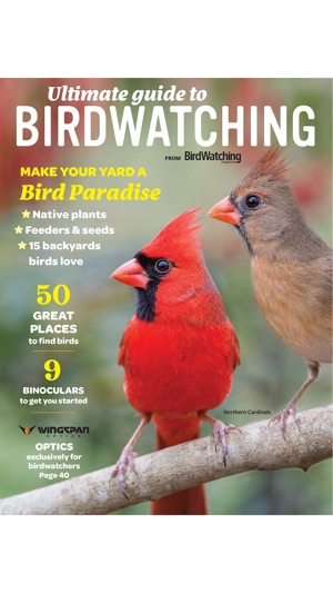 Ultimate Guide to Birdwatching