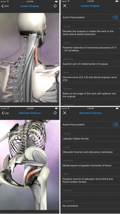 Muscular System screenshot 4