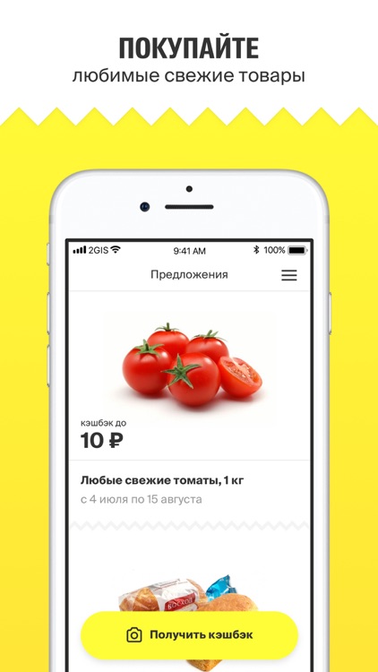 2ГИС Чек