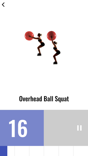 Stability Ball Workout(圖3)-速報App