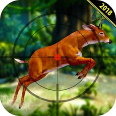 Activities of Wilder Hunters Forest 3D