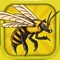 Angry Bee Evolution - Clicker