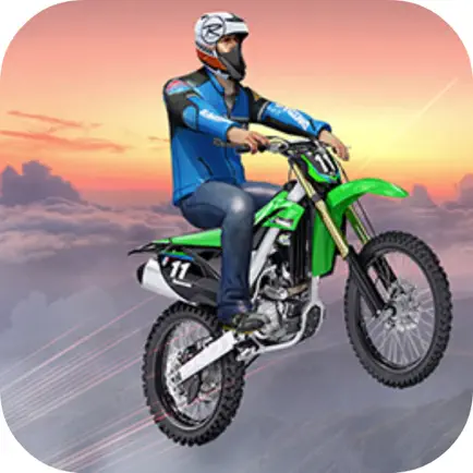 Bike Stunts Risky Sky Читы