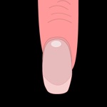 Naild