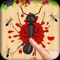 Ant Smasher is an entertaining game smash all ants 