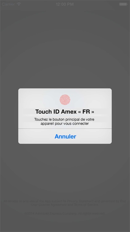 Amex FR