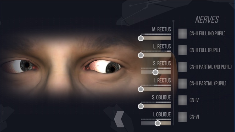 EyeSim