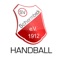 SVS Handball gibt es jetzt als native App fürs Smartphone