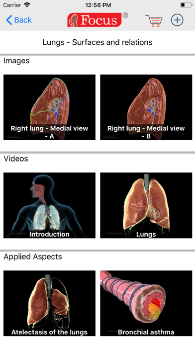 How to cancel & delete LUNGS - Digital Anatomy from iphone & ipad 3