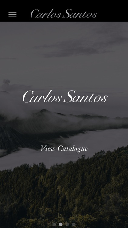 Carlos Santos Shoes