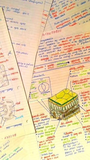 Pocket Notes - GCSE Science(圖4)-速報App