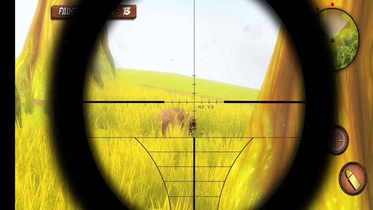 Sniper Animal Hunting Survival