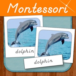 Montessori Three Part Cards