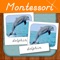 Learn to recognize and name the animals using the famous Montessori three-part card nomenclature system