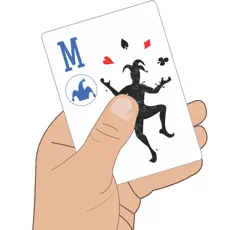 Application Marriage Card Game 17+