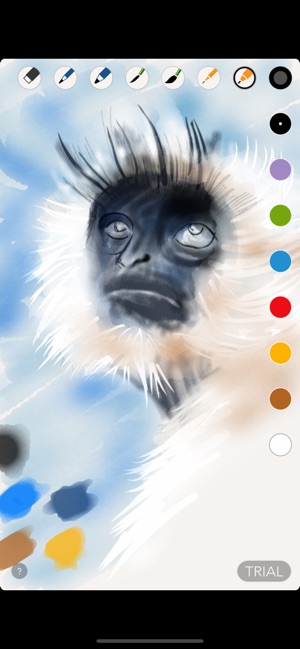 Craytin Art(圖3)-速報App