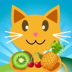 Activities of QCat - Fruit 7 in 1 Games