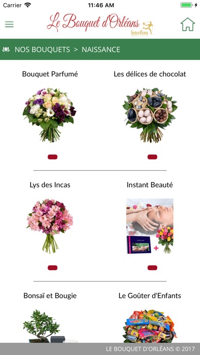 Le Bouquet d'Orléans screenshot 3