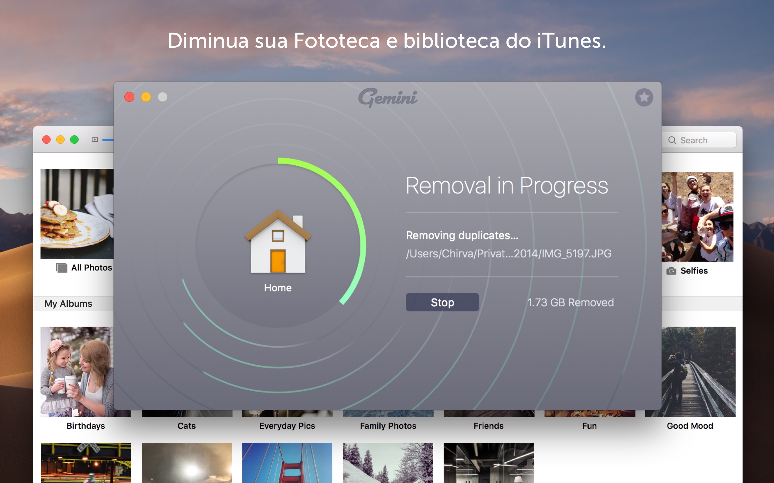 Screenshot do app Gemini 2: The Duplicate Finder