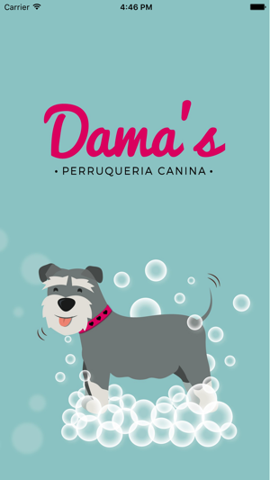 Dama's Perruqueria canina(圖1)-速報App