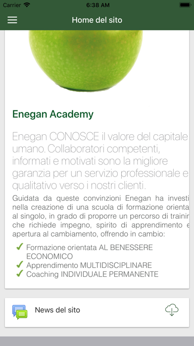 Enegan Academy screenshot 4