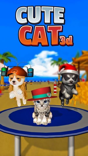 Cat and Dog Show - Sim 2019