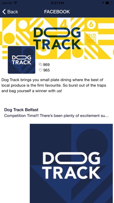 Dog Track Belfast screenshot 2