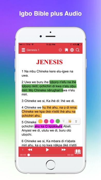 How to cancel & delete Igbo Bible from iphone & ipad 1