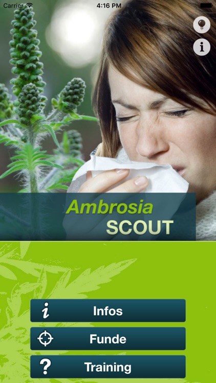 Ambrosia SCOUT