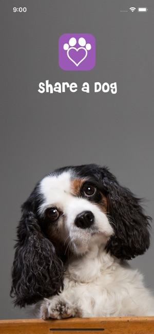 Share A Dog(圖1)-速報App