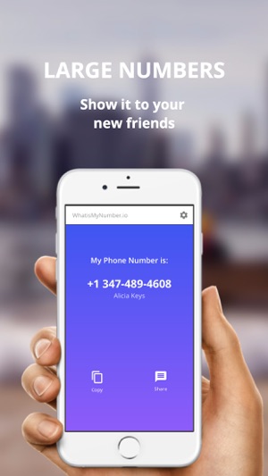 My Number - whatismynumber.io: find phone number(圖3)-速報App