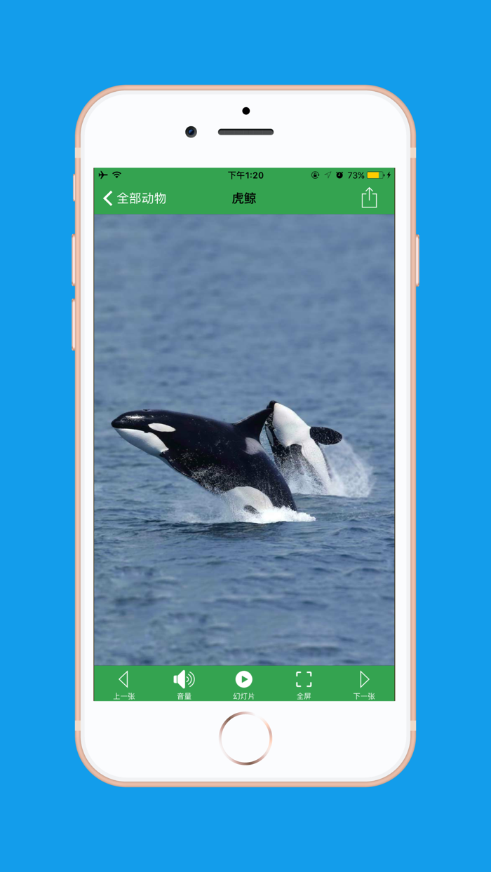 AnimalSounds - 动物叫声